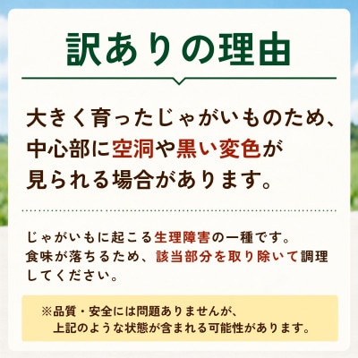 産地直送!訳ありお芋屋さんのBigじゃがいも(品種:とうや)10kg