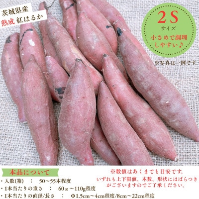 産地直送!生さつまいも「熟成紅はるか」調理しやすい小さめサイズ5kg