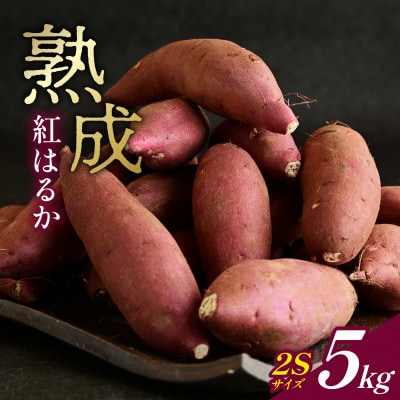 産地直送!生さつまいも「熟成紅はるか」調理しやすい小さめサイズ5kg