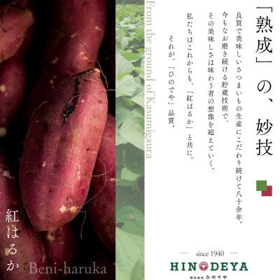 産地直送!生さつまいも「熟成紅はるか」調理しやすい小さめサイズ5kg
