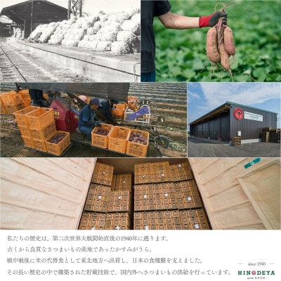 産地直送!生さつまいも「熟成紅はるか」調理しやすい小さめサイズ5kg