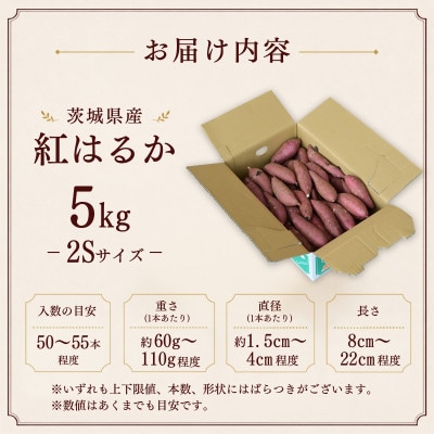 産地直送!生さつまいも「熟成紅はるか」調理しやすい小さめサイズ5kg