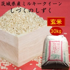 茨城県産ミルキークイーンしづくのしずく30kg(玄米)