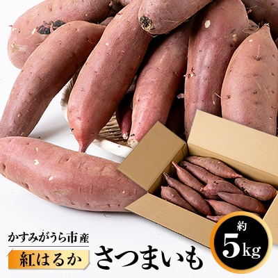 かすみがうら市産　さつまいも(紅はるか)約5kg