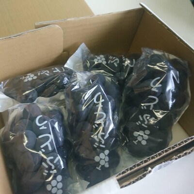かすみがうら市産　巨峰　(約2kg)