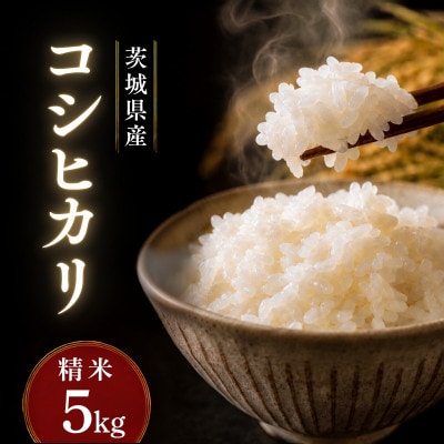 令和7年産かすみがうら市産コシヒカリ  精米  5kg