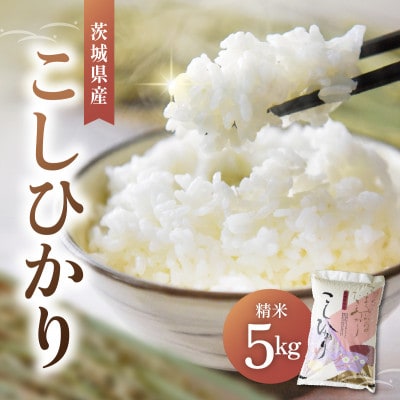 令和7年産かすみがうら市産コシヒカリ  精米  5kg