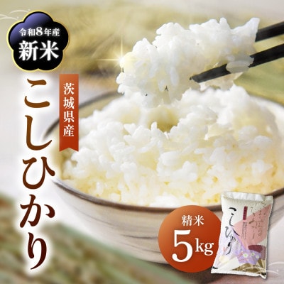令和8年産 新米 コシヒカリ 精米  5kg | こしひかり お米  茨城県かすみがうら市産