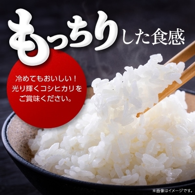かすみがうら市産コシヒカリ  精米  5kg