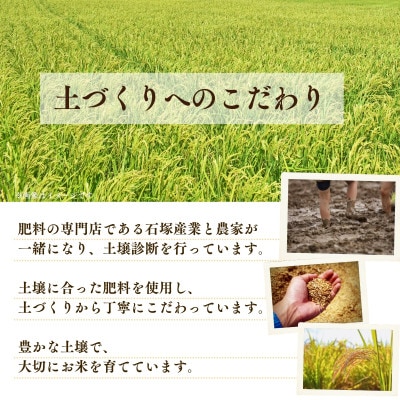令和7年産かすみがうら市産コシヒカリ  精米  5kg