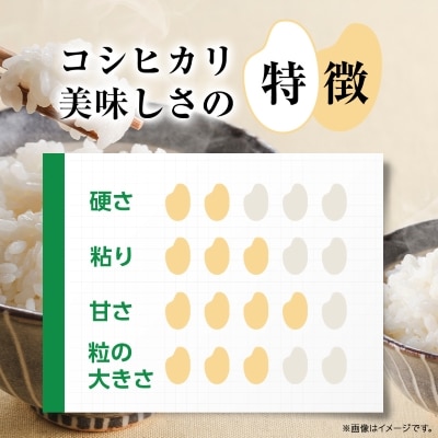 かすみがうら市産コシヒカリ  精米  5kg