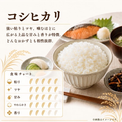 令和7年産かすみがうら市産コシヒカリ  精米  5kg