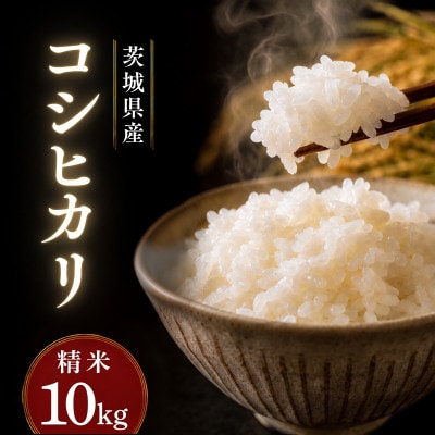 令和7年産かすみがうら市産コシヒカリ  精米  10kg