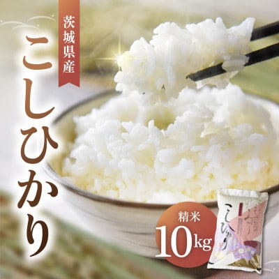 令和7年産かすみがうら市産コシヒカリ  精米  10kg