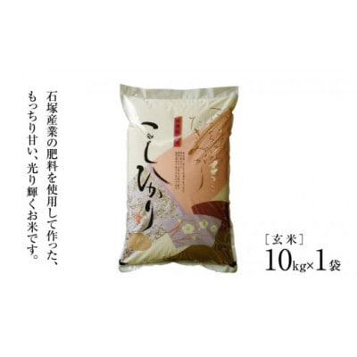 かすみがうら市産コシヒカリ 玄米 10kg