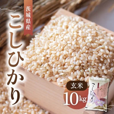 令和8年産 新米 コシヒカリ 玄米 10kg | こしひかり お米 おこめ 茨城県産