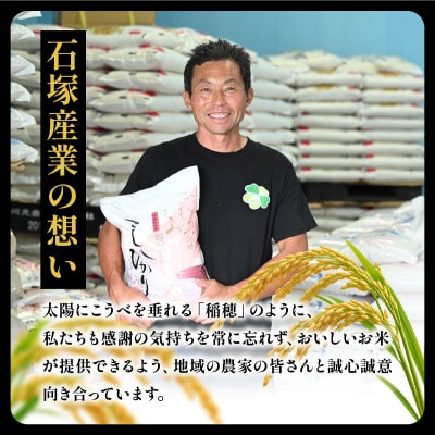 令和8年産 新米 コシヒカリ 玄米 10kg | こしひかり お米 おこめ 茨城県産