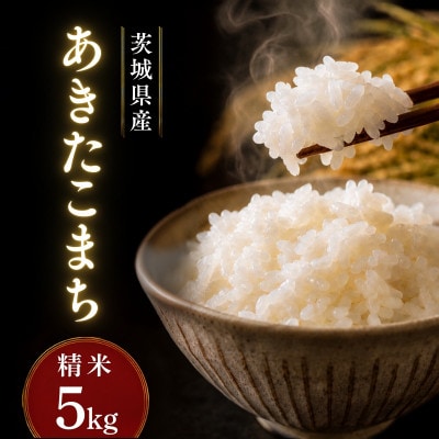 令和7年産かすみがうら市産あきたこまち  精米  5kg
