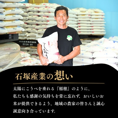 令和7年産かすみがうら市産あきたこまち  精米  5kg
