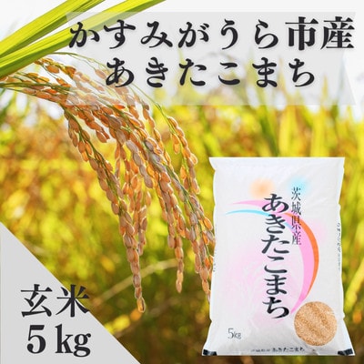 令和7年産かすみがうら市産あきたこまち  玄米  5kg