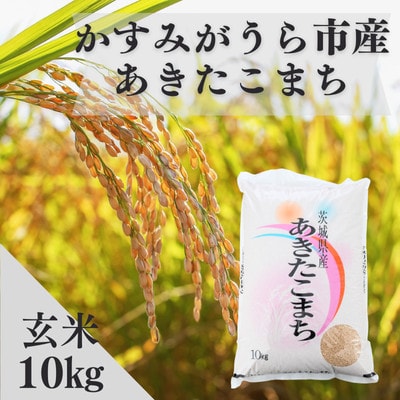 令和7年産かすみがうら市産あきたこまち  玄米  10kg