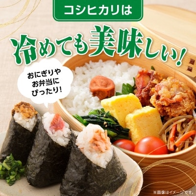 コシヒカリと干し芋の極上プレミアムセット(精米10kg×干し芋300g×2袋)