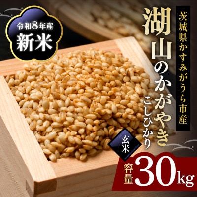 令和8年 新米 コシヒカリ 玄米30kg 湖山のかがやき | こしひかり お米 茨城県かすみがうら市
