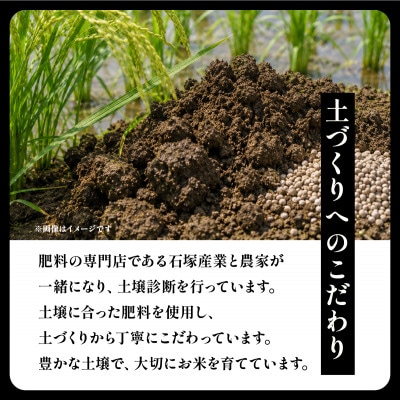令和8年 新米 コシヒカリ 玄米30kg 湖山のかがやき | こしひかり お米 茨城県かすみがうら市