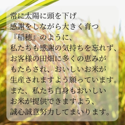 【毎月定期便】極上ふるさと米　精米5kg全6回