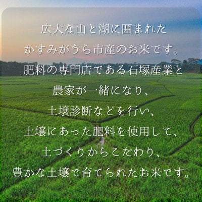 【毎月定期便】極上ふるさと米　精米10kg全3回