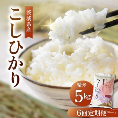 【毎月定期便】茨城県産 コシヒカリ精米 5kg | こしひかり 茨城県かすみがうら市全6回