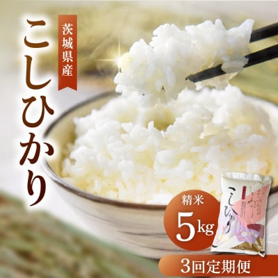 【毎月定期便】茨城県産コシヒカリ 精米 5kg |  こしひかり 茨城県かすみがうら市全3回