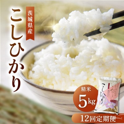 【毎月定期便】茨城県産 コシヒカリ 精米5kg | こしひかり 茨城県かすみがうら市全12回