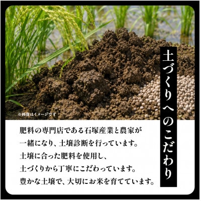 【毎月定期便】茨城県産 コシヒカリ 精米5kg | こしひかり 茨城県かすみがうら市全12回