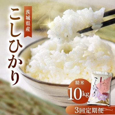 【毎月定期便】茨城県産 コシヒカリ 精米 10kg | こしひかり 茨城県かすみがうら市全3回