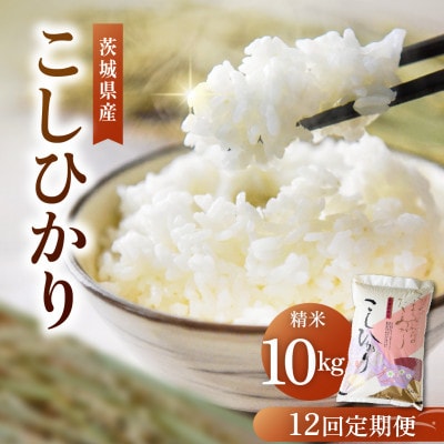 【毎月定期便】コシヒカリ 精米 10kg こしひかり全12回