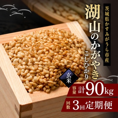 【毎月定期便】コシヒカリ 玄米30kg 湖山のかがやき | 茨城県かすみがうら市全3回
