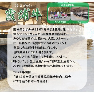 【日本一獲得ブランド牛】 霞浦牛 レトルトカレー