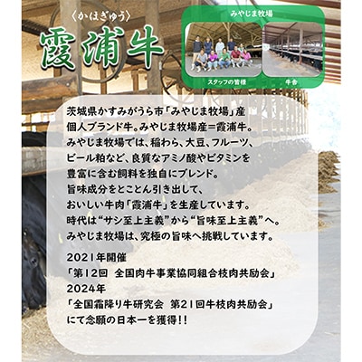 霞浦牛(かほぎゅう)　サーロインステーキ4枚セット　(約200g×4)