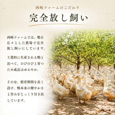 かすみ鴨 ムネ肉のスモーク 1枚(200g) | 鴨 かも 茨城県かすみがうら市