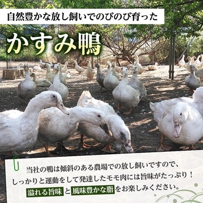 かすみ鴨モモ肉　1羽分×2パック(計2羽分)