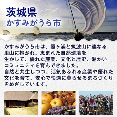 かすみ鴨モモ肉　1羽分×2パック(計2羽分)