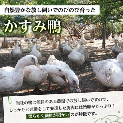 かすみ鴨むね肉　1羽分(800g～900g程度)