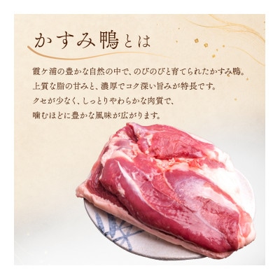 かすみ鴨むね肉　1羽分(800g～900g程度)| かも 鴨 茨城県かすみがうら市