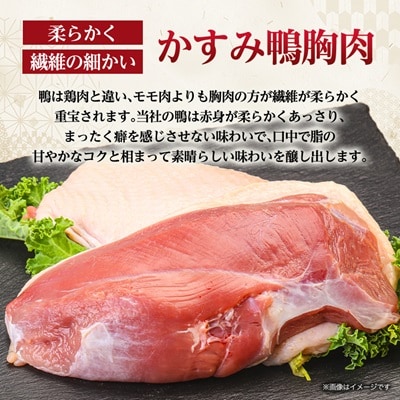 かすみ鴨むね肉　1羽分(800g～900g程度)