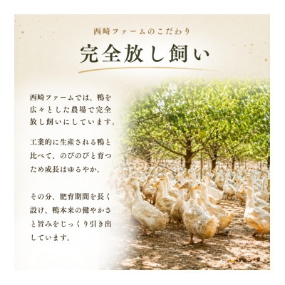鴨鍋の素4人前 鴨スープ1kg&鴨モモ肉2羽分(計800～900g)| 鴨 かも 茨城県かすみがうら