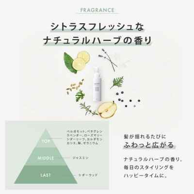 【SALONIA】スピーディーイオンドライヤー&スタイリングオイル100ml×4本セット