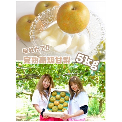 採れたて!とっても甘い　完熟梨!約5kg