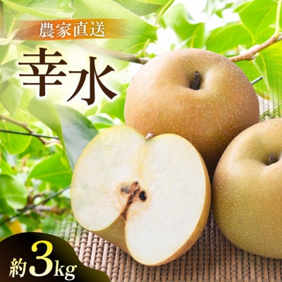 幸水 梨 3kg 6～10玉 【2026年収穫分】かすみがうら市