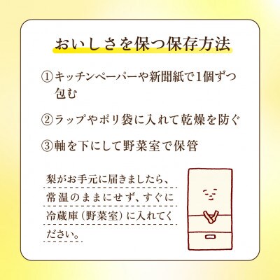幸水 梨 3kg 6～10玉 【2026年収穫分】かすみがうら市